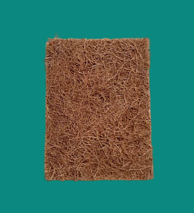 Coconut Coir Scrubber