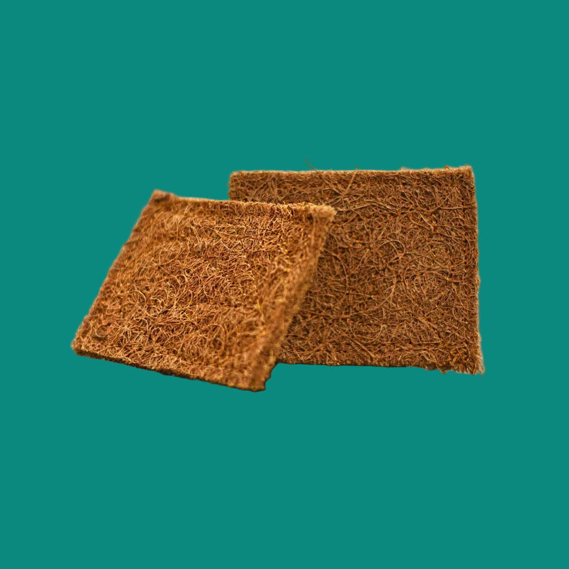 Coconut Coir Scrubber