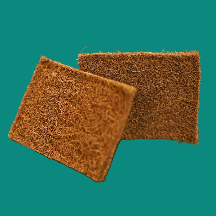 Coconut Coir Scrubber